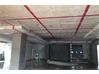Shop-Mulgi for Sale in SD Road